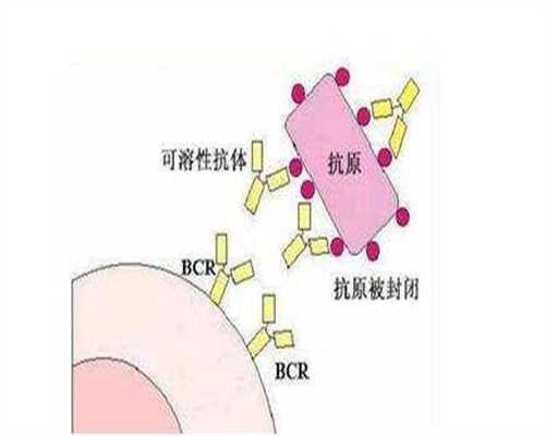 湖南代怀与广州供卵试管经验分享：如何避免被骗并提升成功率